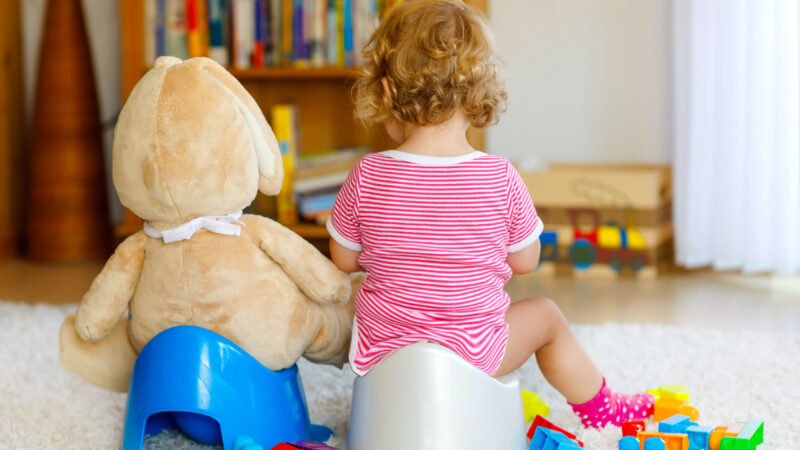 What to Do When Your Toddler Suddenly Stops Potty Training
